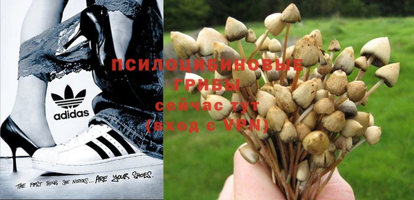 круглые Арсеньев