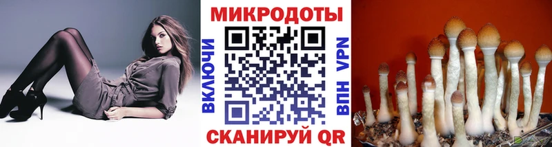 Псилоцибиновые грибы мухоморы  Полысаево 