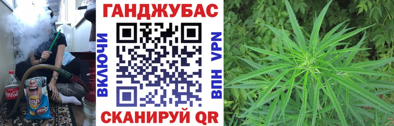 Конопля гибрид  Полысаево 